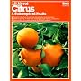 All About Citrus and Subtropical Fruits (Ortho's All about)