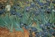 (24x36) Vincent Van Gogh Garden of Irises 2 Art Print Poster