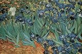 (24x36) Vincent Van Gogh Garden of Irises 2 Art Print Poster