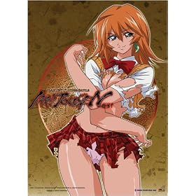Ikki Tousen Wallscroll #9607