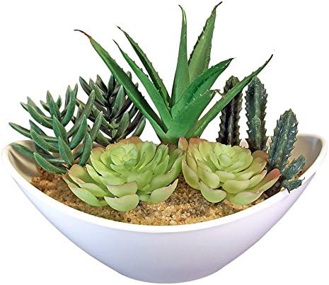 Faux Cactus Succulent Garden in Oval Planter (White)