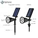 Syhonic 4 LED SuperBright 200 Lumen Waterproof Wireless All Weather Adaption Outdoor Solar Landscape SpotLights 2 Pack (Cool White)
