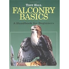 Falconry Basics: A Handbook for Beginners