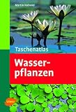 Taschenatlas Wasserpflanzen - Martin Haberer