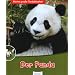 Der Panda