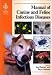 BSAVA
Manual
of
Canine
and
Feline
Infectious
Diseases