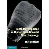 tooth development in human evolution and bioarchaeology