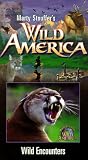Wild America 11: Wild Encounters