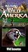  : Wild America 11: Wild Encounters