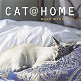 Cat @ Home