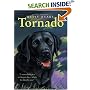 Tornado (Trophy Chapter Book)