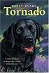 Tornado (Trophy Chapter Book)