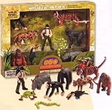 Rainforest Eco Expedition