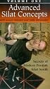 Advanced Silat Concepts: Secrets of Modern Pentjak Silat Serak [VHS]