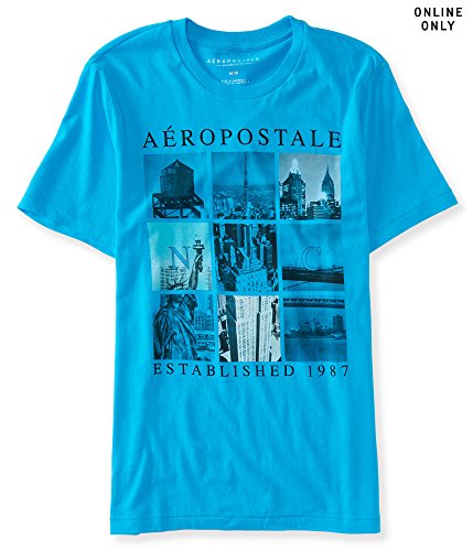 Aeropostale Men's Nyc Scenes Logo Graphic T Shirt