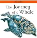 The Journey of a Whale (Lifecycles)