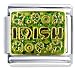 

Irish Italian Charms Bracelet Link
