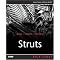 Learning Struts