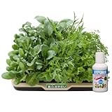 ���i�̏ڍ�