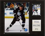 NHL Ryan Malone Tampa Bay Lightning Player Plaque