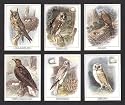 British Birds Of Prey - Red Kite, Tawny Owl, Long-Eared Owl, Barn Owl, Hen Harrier, and White-Tailed Eagle - Collectors Cards