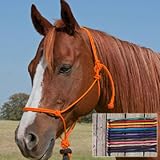 PNW Select 1/4 Charity Rope Horse Halter - Orange for Alzheimer's Disease Research