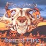Mountain: Sea of Fire