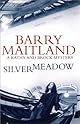 Silvermeadow : a Kathy and Brock mystery