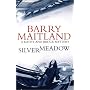 Silvermeadow: A Kathy and Brock Mystery