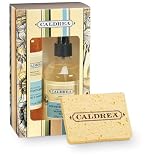 Caldrea Kitchen Starter Set, Basil Blue Sage, 8-Ounce Bottles (Pack of 2)