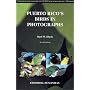 Puerto Rico's Birds in Photographs
