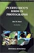 Puerto Rico's Birds in Photographs