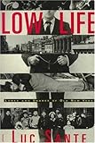 Low Life: Lures and Snares of Old New York