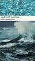 Small Craft Warnings: Stories (Western Literature Series)