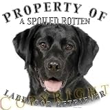 Black Labrador Retriever Mousepad Dog Mouse Pad Property Of