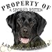 labrador0  - Black Labrador Retriever Mousepad Dog Mouse Pad Property