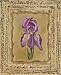 Art Poster Print - Iris Purpura - Artist: Constance Lael - Poster Size: 8 X 10 inches