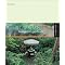 Garden Design