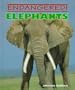 Elephants (Endangered!)