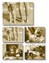 The Art of Expecting Note Cards in a Two-Piece Box (Potter Style)