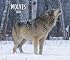 Wolves 2008 Deluxe Wall Calendar