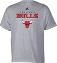 Chicago Bulls Grey adidas True T-Shirt