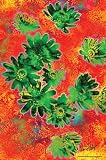Adonis Vernalis Psychedelic 70's Flowers Trippy Art Poster Print - 24 X 36