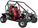 Go Kart 250cc Dune Buggy