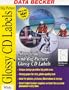 Big Picture Glossy Cd Labels