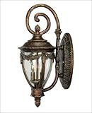 Acropolis Tortoise Shell 20 High Outdoor Wall Light