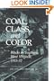 Coal, Class, and Color: Blacks in Southern West Virginia, 1915-32 (Blacks in the New World)