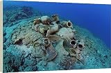 Canvas Prints of Etruscan Amphora in a protected archaeological area on the sea bed in Antalya from Ardea Wildlife Pets