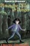 Dimanche Diller in Danger (Young Lions Storybook)