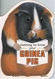 Getting to Know Your Guinea Pig (Children's Pet)